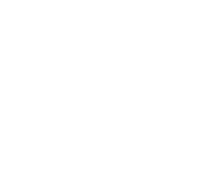 D-studio